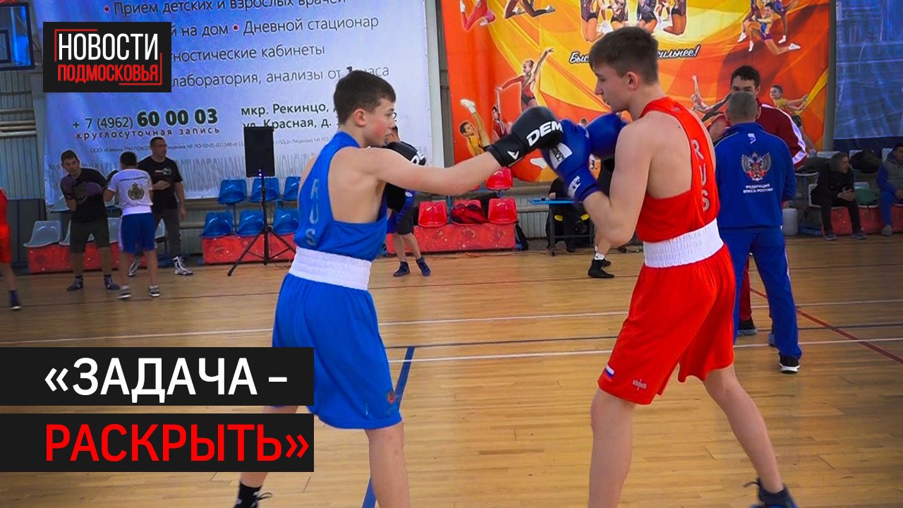 Чемпионы мира провели открытый мастер-класс по боксу в Солнечногорске