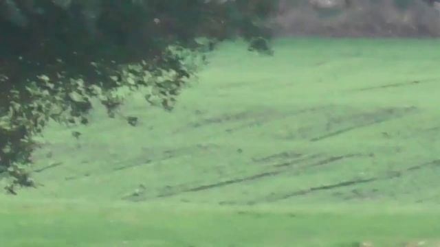 Panasonic HC-W580 Camcorder Zoom Test смотреть онлайн