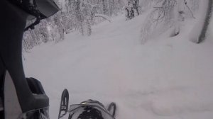 Ski-doo summit 600 e-tec 146" - ALMOST HIT A BIRD?!