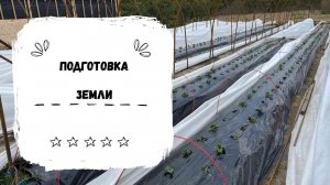 Строим балаганы