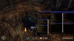 Gothic 3 how to resurrect a NPC.