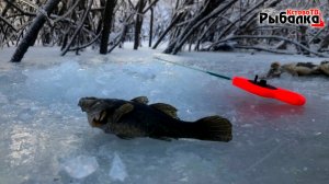 Рыбалка в соседней деревне.