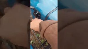 Обзор минитрактора Чувашпиллер Т12 2016 года выпуска