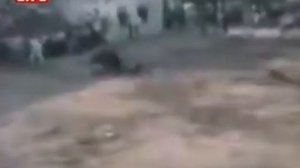 Рамазан Рабаданов  Бык и собака