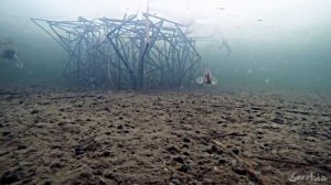 Реакция ЩУКИ на РОТАНА!!! Жерлицы! Подводная съемка