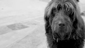 Say My Name (Studio)