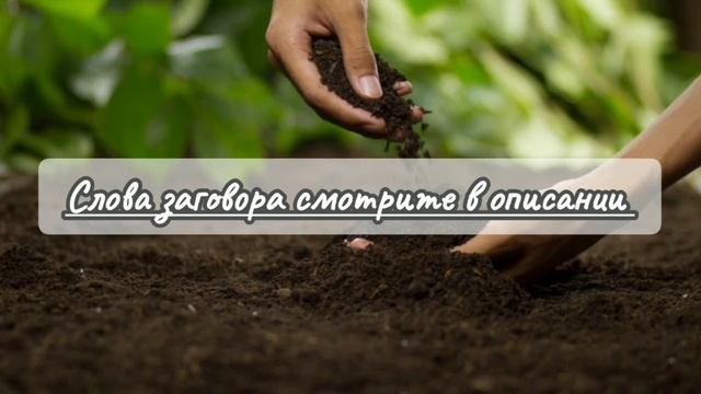 Быстро защититься от СГЛАЗА, ПОРЧИ, НАГОВОРА