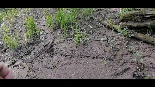 Рыбалка в полдень на СИМУ 2023 08 июня смотреть онлайн