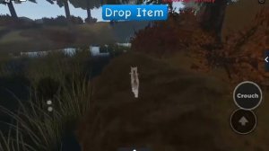 КАК ПОПАСТЬ В СУМРАЧНЫЙ ЛЕС!!!!!!!