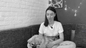 ПЕКИНЕС: личный опыт содержания | Всё о собаке породы ПЕКИНЕС