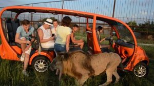 Встреча с Филей ,'бабахи' от Марселя ,ласкуша Мирон !