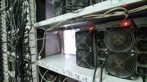 Разместил асики в хостеле за копейки / Можно ли заработать?