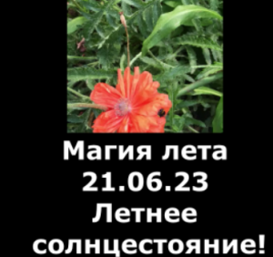 Друзья, не упустите волшебное время года! Оно повториться  только через год.