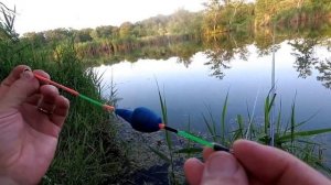 умный поплавок fishing fancam купить