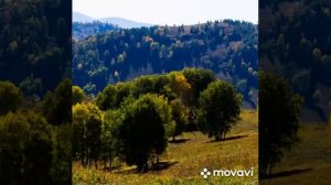 Алтайский край!!!Чарышский район!!!