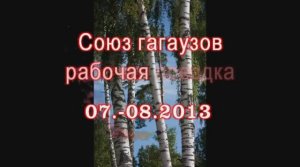 2013г Союз гагаузов, Рабочая поездка