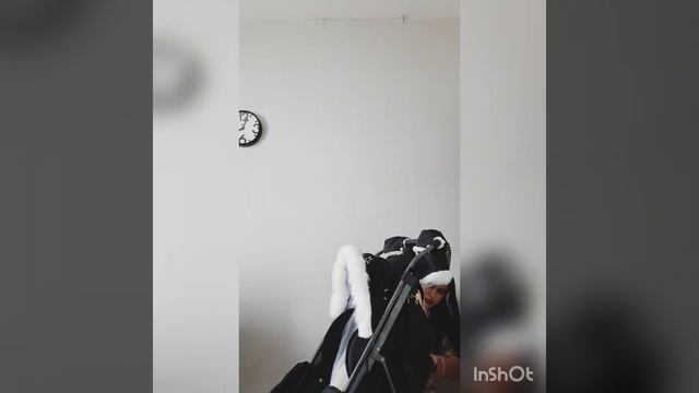 Обзор Picate Limited Edition