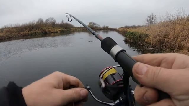 Обзор посылки с воблерами ТцуЙоки 2021 из Rybalkashop ru смотреть онлайн