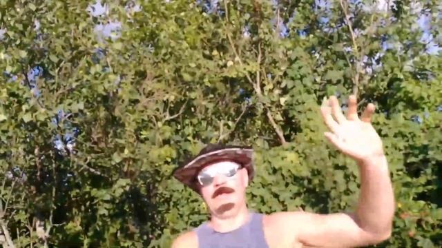 Грабли веерные Для любителей канала Грабли Лайф 04 08 21 смотреть онлайн