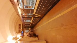 Отправление поезда метро 81-540.1  со станции метро Проспект Просвещение.