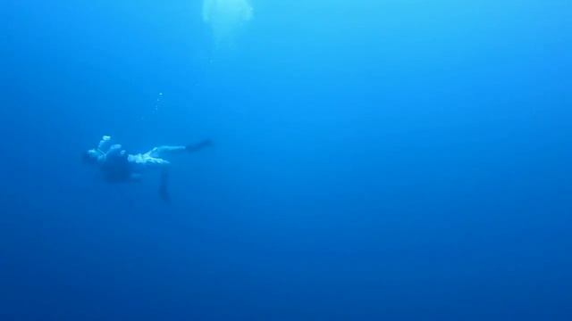 Tubbataha Reef, Palawan, The Philippines смотреть онлайн