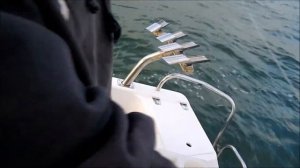 Популярная в Австралии рыбалка. Ловля снеппера.  Snapper Fishing