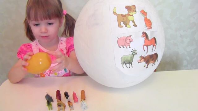 Большое киндер яйцо с игрушками домашними животными открываем и изучаем. Даша. смотреть онлайн