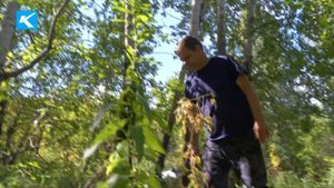 09 09 2022 Памятка для грибников Как не потеряться в лесу