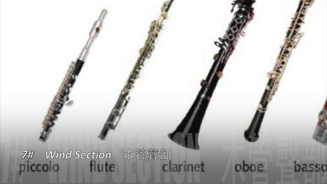 Roland Aerophone AE-10 tones test 1 - Digital Wind Instrument【AnYiPapaShow】 смотреть онлайн