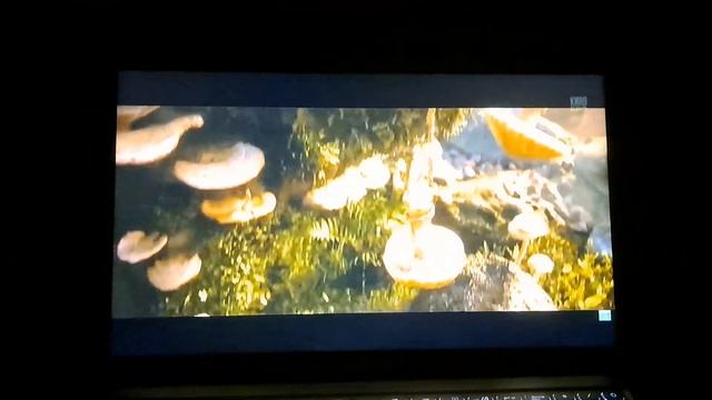 Соник 2 в кино " 2 часть" смотреть онлайн