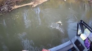 Рыбалка на реке Чулым вниз от Назаровской плотины