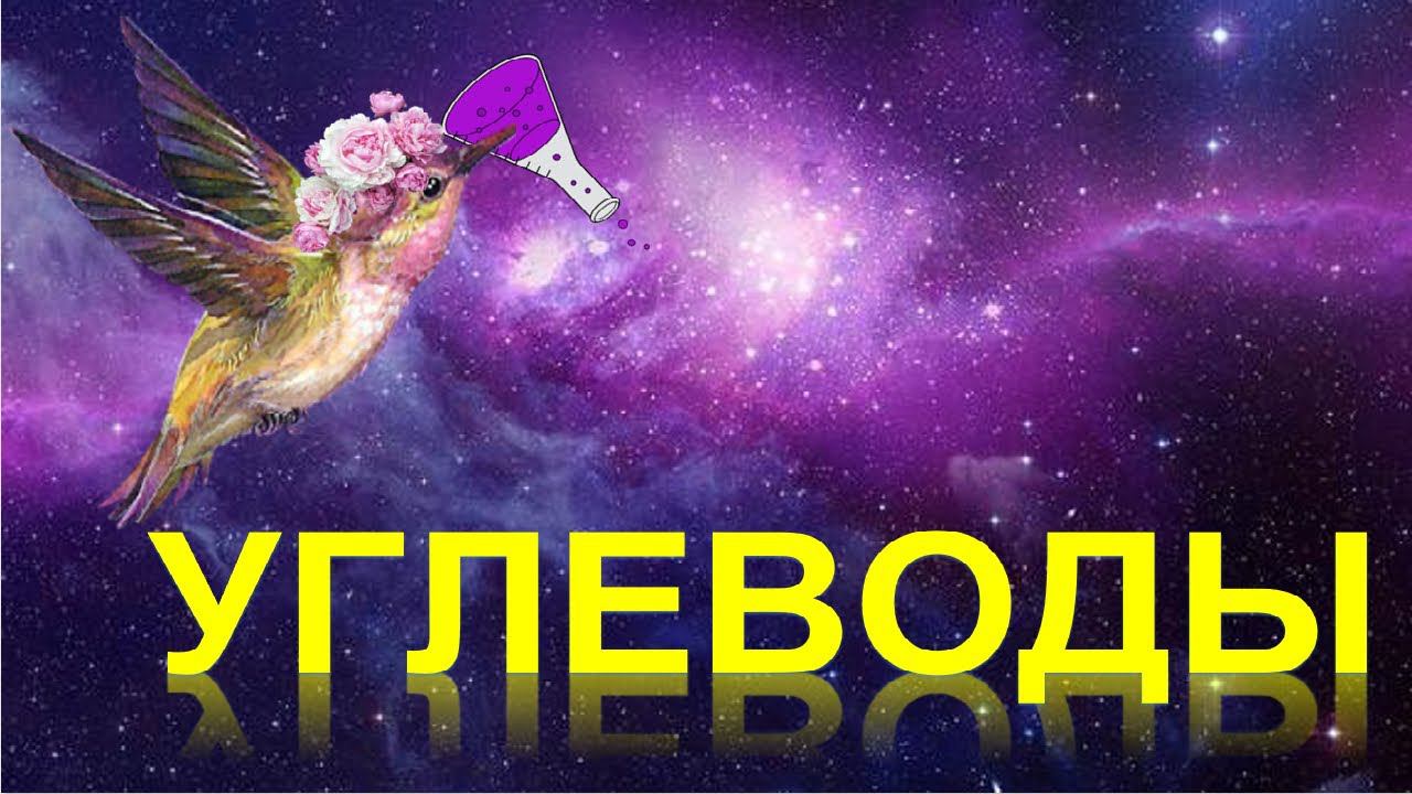 50. Углеводы (часть 1)