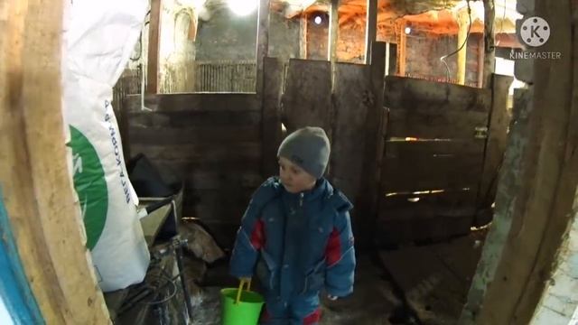 419‼️Забой свиньи ?‼️ Юный помощник кормит поросят !‼️Топим баню‼️ смотреть онлайн