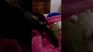 Вот что значит настоящий верный друг.