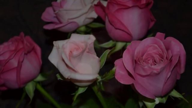 Розы пахли полынью смотреть онлайн