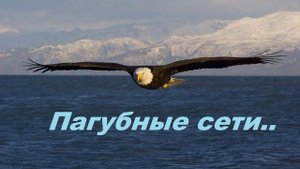 Пагубные сети.. (передача-рассказ)
