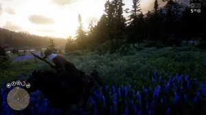 Медведь Горбатый Дух Легендарные животные - Red Dead Online