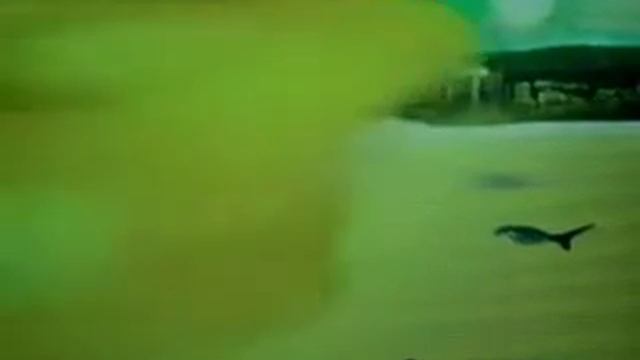 Biosphere- Montreal, Canada смотреть онлайн