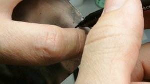 Уронил катушку , сломал лапку . Что делать ?