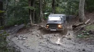 РАЗВОД ТУРИСТОВ в Геленджике. DIVORCE TOURISTS Gelendzhik .