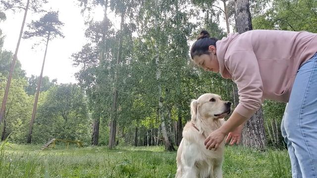 4 нед разминка смотреть онлайн