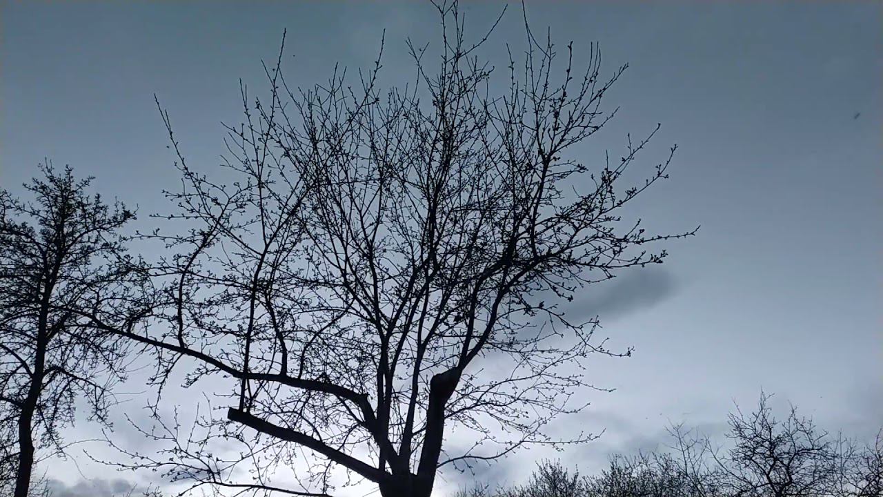 Майские жуки 2 смотреть онлайн