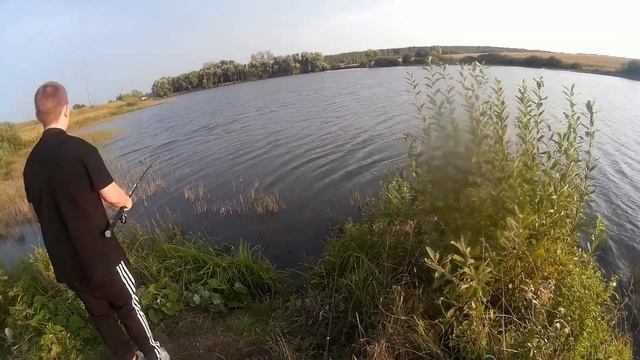 Окунь на живца. Ловля окуня на живца.