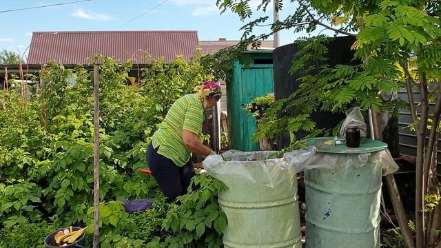 Зеленое удобрение/травяной настой смотреть онлайн