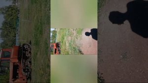 19.08.22.Экзамен в Гостехнадзоре. Категория Е. Трактор Дт75.