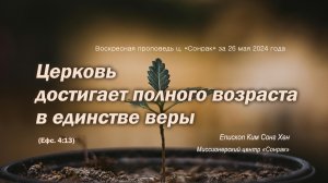 3 МИНУТКИ_Церковь достигает полного возраста в единстве веры (Ефс. 4:13)