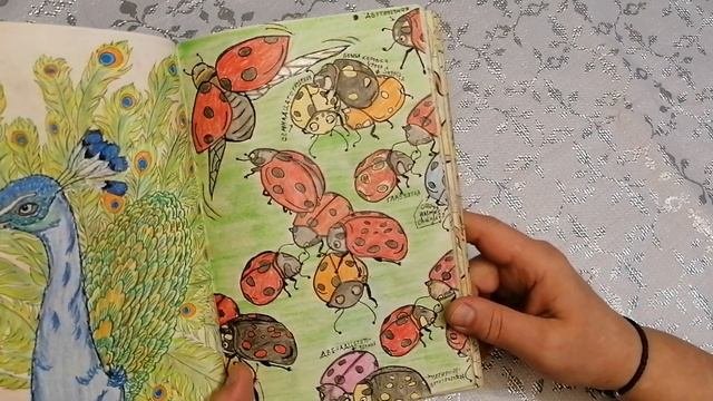 Моя первая раскраска 