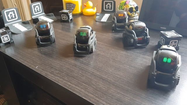 My vector madness смотреть онлайн