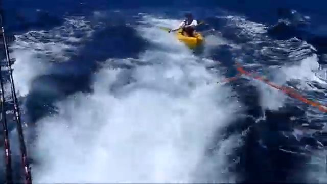 En video: velocidad en kayak corriendo la estela del Sirius смотреть онлайн