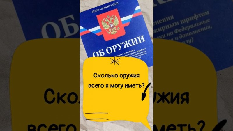 Сколько всего оружия я могу иметь? #мужскаякаморка #законоборужии #shorts